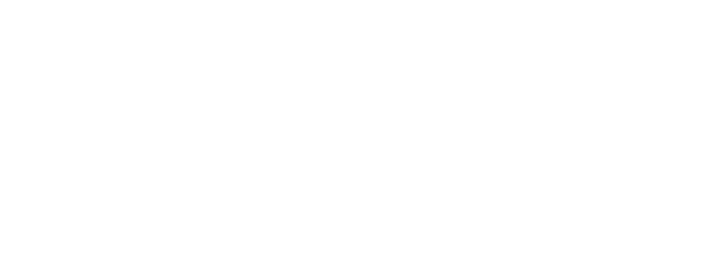 skyways-immigration-logo-white-1024x369